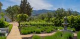 1575 St. Helena Highway (39)