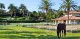 6853 Rancho Valencia 22