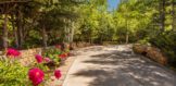 835 Red Mountain Road 29