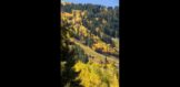 926 Waters Ave (12)
