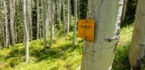 Winding Way Road (5)