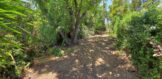 1803 Avalon Street (28)